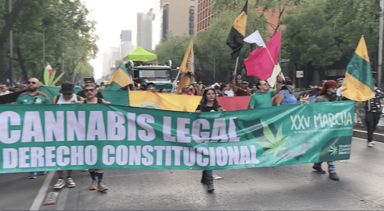 Miles marchan por la regulación del cannabis en México: crónica de la marcha cannábica 2025