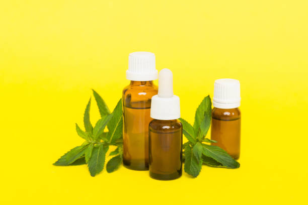 Mentol – El terpeno refrescante que alivia el dolor y reduce la ansiedad