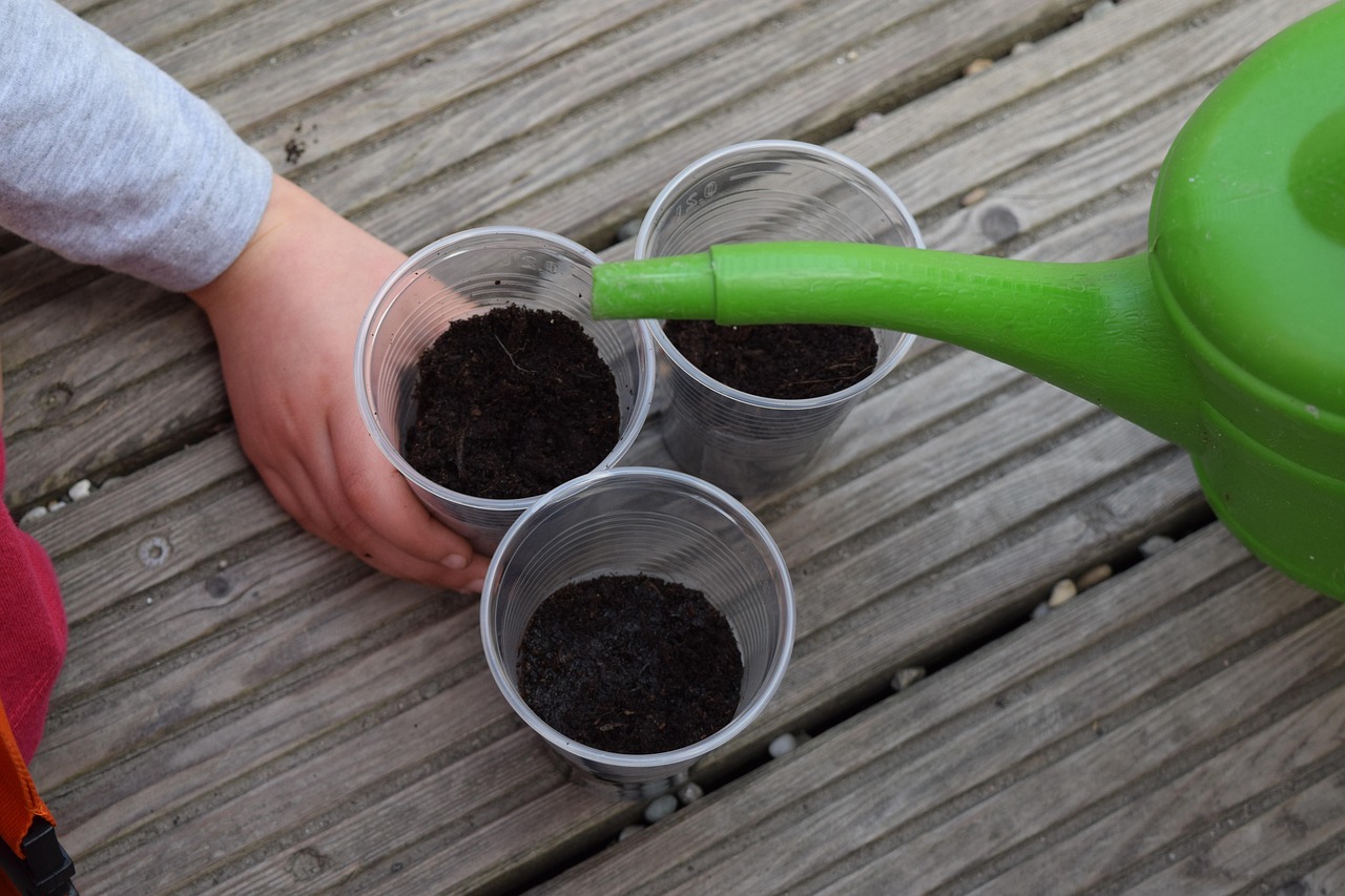 Cómo hacer tu propio té de compost aireado (TCA) para cannabis
