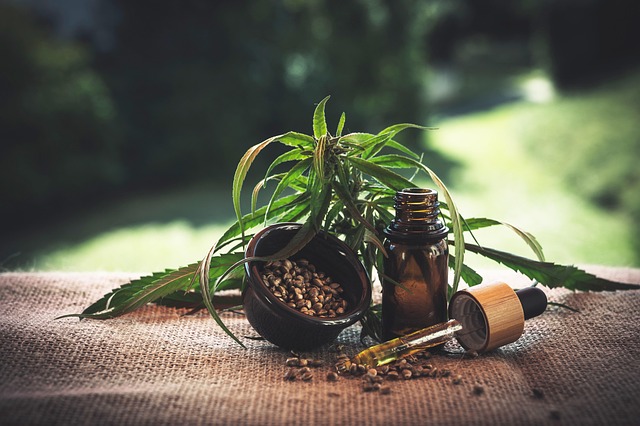 Cannabis y TDAH – ¿Aliado terapéutico o riesgo neurocognitivo?