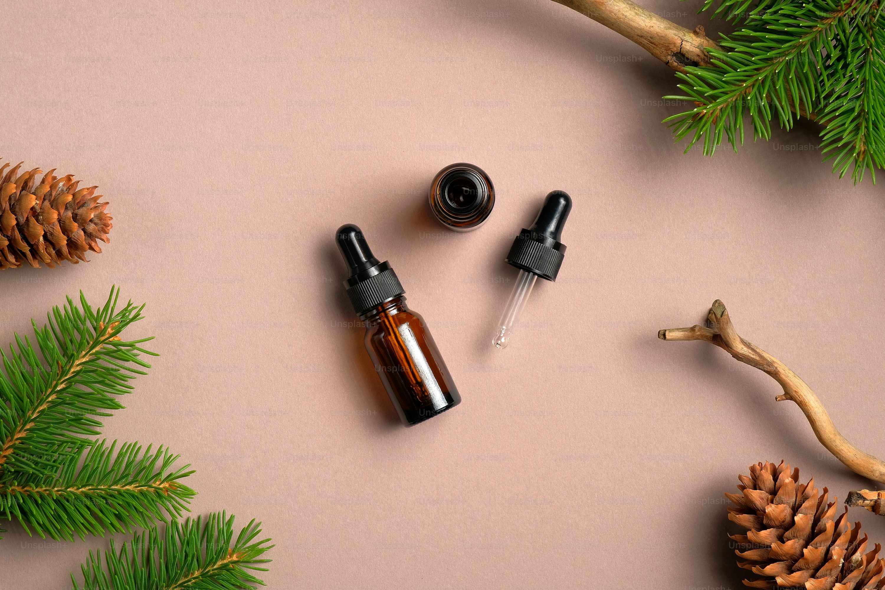 Alpha-Pineno – El terpeno que respira bosque y protege tu mente