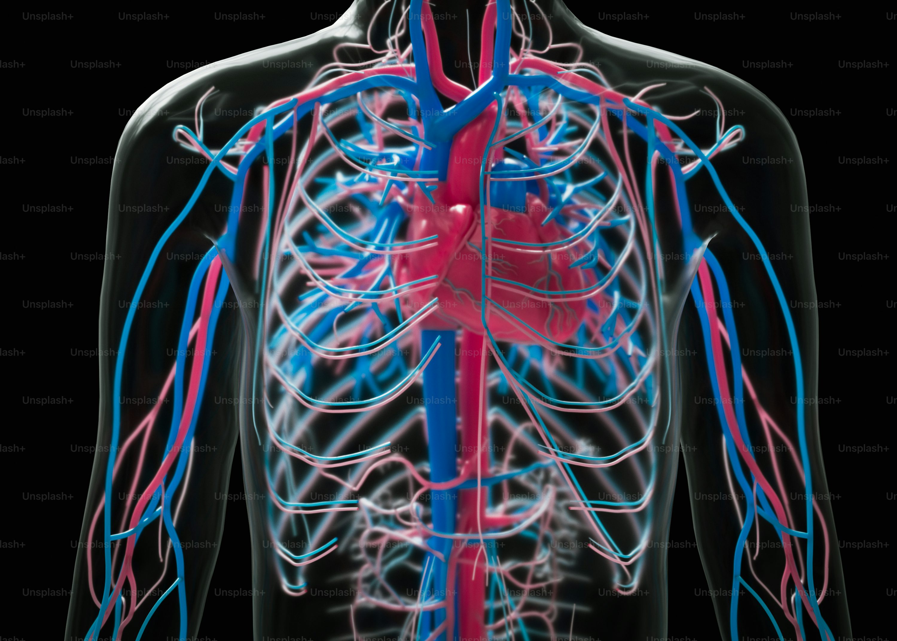 Cannabis y salud cardiovascular – ¿Aliado o riesgo?