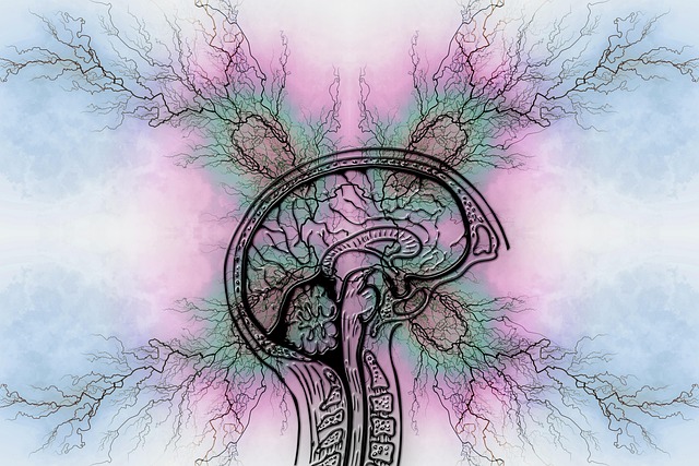 Cannabis y epilepsia: lo que sabemos gracias a la ciencia