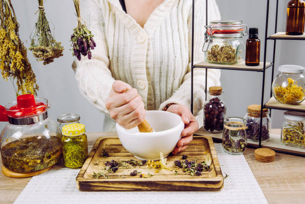 Cannabis y saberes ancestrales – Memoria vegetal en Mesoamérica
